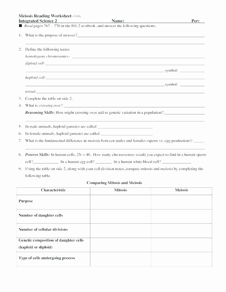 Integrated Science Cycles Worksheet Answers Unique Life Skills Science Worksheets solve toothpick Puzzles