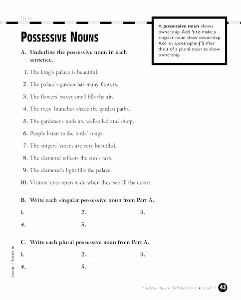 Irregular Plurals Worksheet Free Plural and Singular Possessive Nouns Ksheets Free Noun
