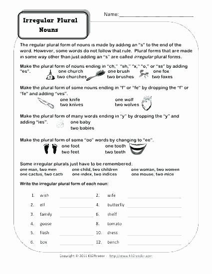 Irregular Plurals Worksheet Free Possessive Nouns Worksheets 3rd Grade
