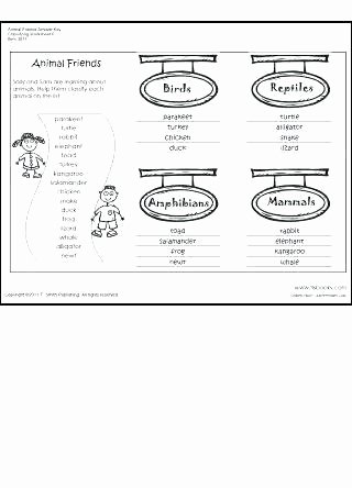 Kindergarten Math sorting Worksheets Free sorting Worksheets 3 Math for Kindergarten Kids Nouns