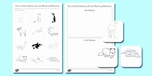 Kindergarten Math sorting Worksheets Hot and Cold Habitats Animal sorting Worksheet Habitat
