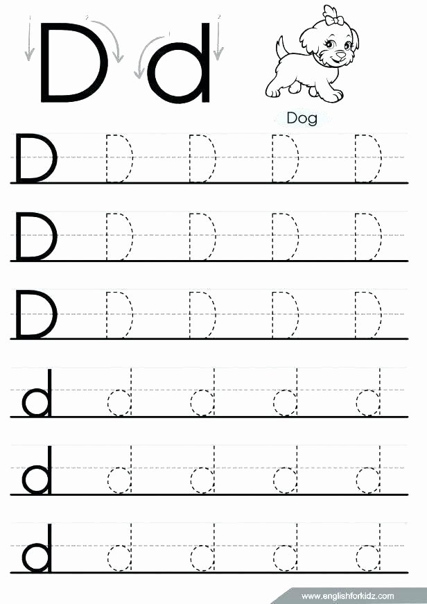 Letter D Worksheet Preschool Letter D Worksheets for Preschoolers Preschool Tracing Free
