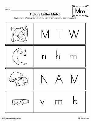 Letter M Worksheets for toddlers Words Starting with Letter M Resources Preschool Letters M
