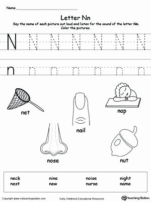 Letter N Worksheets for Preschool Letter N Preschool Worksheets – Openlayers