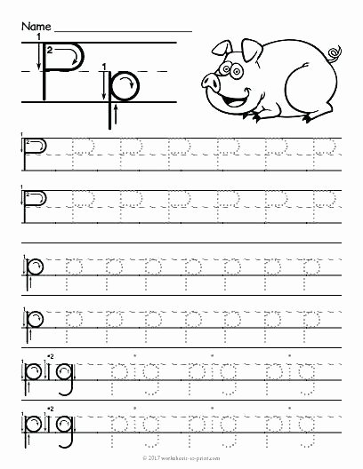 Letter P Preschool Worksheets Free Writing Worksheets for Kindergarten