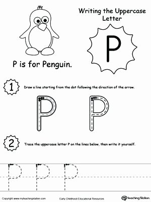 Letter P Preschool Worksheets P Worksheets for Kindergarten
