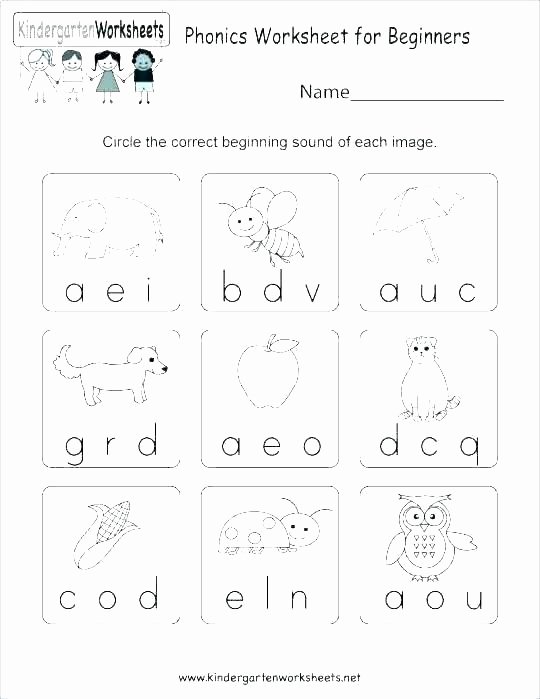Letter P Worksheets for toddlers sounds Worksheets for Kindergarten