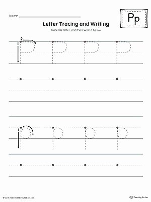 Letter P Worksheets Preschool Letter P Printable Worksheets Cursive Letter P Free