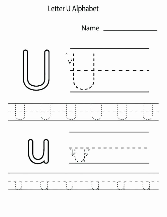 Letter P Worksheets Preschool Printable Letter E Worksheets for Preschool Kindergarten P