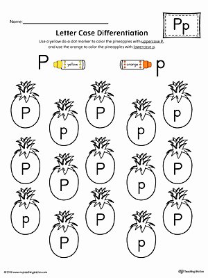 Letter P Worksheets Preschool Trace Letter P and Connect Worksheet