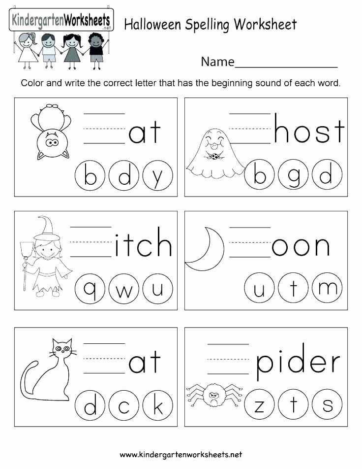 Letter W Worksheets for Preschoolers Spider Unit for Kindergarten and First Grade Writing