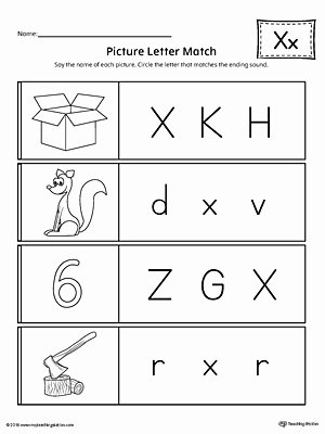 Letter X Worksheets for Kindergarten Picture Letter Match Letter X Worksheet