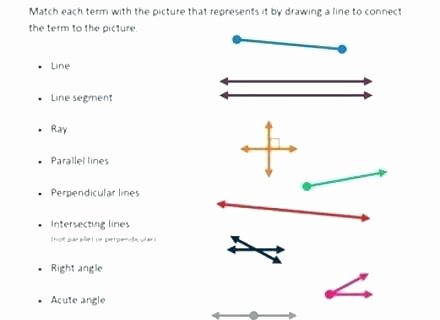 Lines Rays and Angles Worksheets Lines Segments and Rays Worksheets