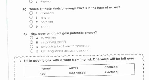 Long E Short E Worksheets Long E Phonics Worksheets