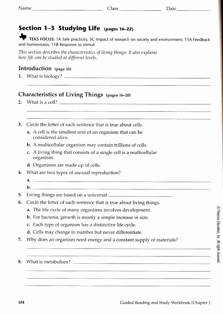 Magnetism Worksheet for High School Luxury Middle School Worksheets