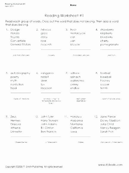 Main Idea and Summary Worksheets Multiple Choice Summary Worksheets