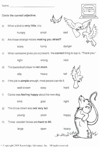 Mammal Worksheets First Grade Adjective Worksheets for Kids Free Library Download and