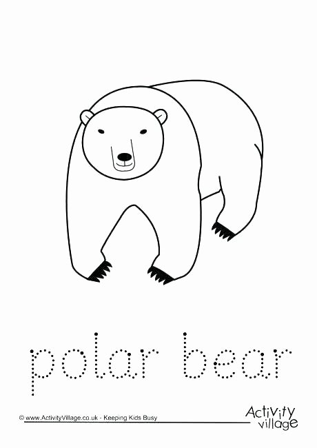 Mammal Worksheets First Grade Polar Bear Worksheets 1st Grade
