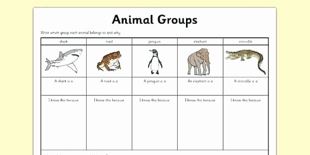 Mammals Worksheet First Grade Activity Worksheets for Grade 3