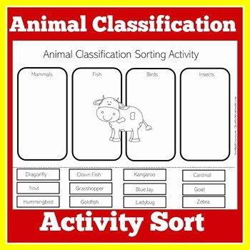Mammals Worksheet First Grade Animal Classification Worksheet