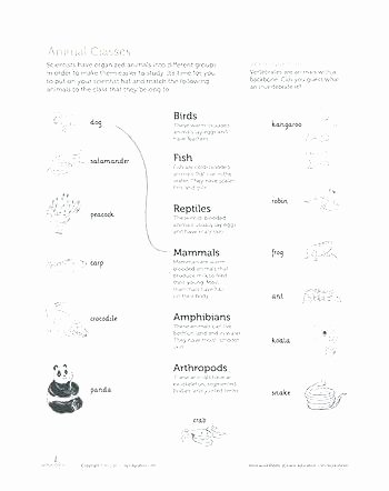 Mammals Worksheet First Grade Learning Science Worksheets Grade 1 5 for 4 First Printable