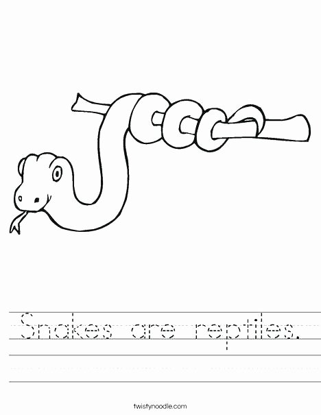 Mammals Worksheets for 2nd Grade Reptile Worksheets – Redoakdeer