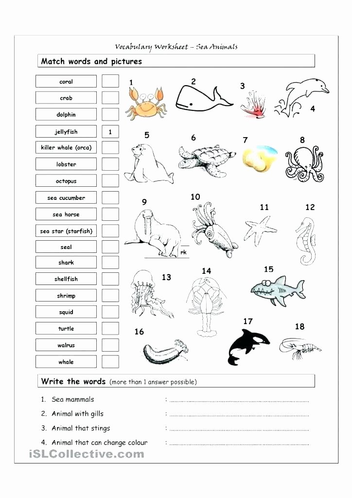 Mammals Worksheets for 2nd Grade Weather Worksheets for Grade 2