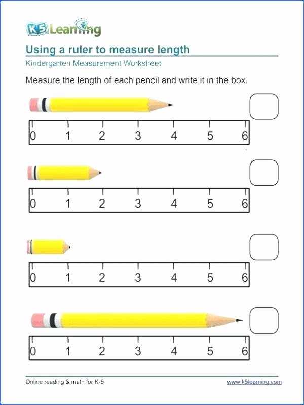 Measurement Worksheets Grade 3 Lovely Free First Grade Measurement Worksheets