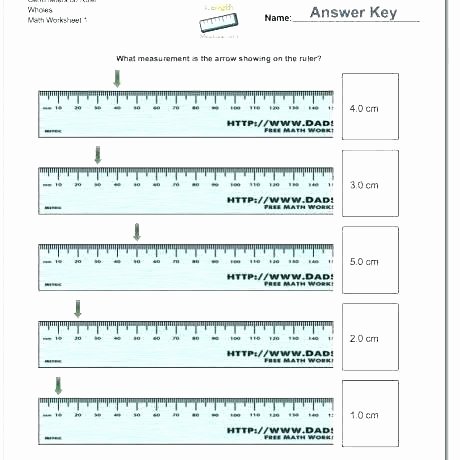 Measurement Worksheets Grade 3 Lovely Measuring Worksheets Inches – Eastcooperspeakeasy