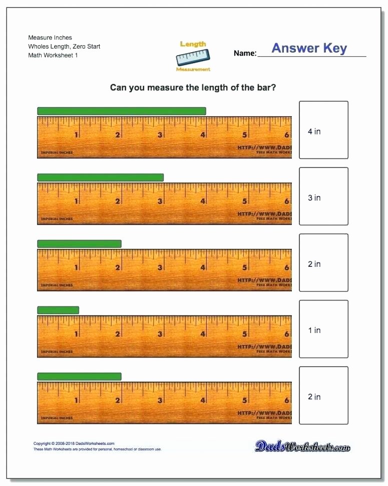 2nd grade measurement worksheets free small size printable worksheets inches grade measurement measuring worksheet main ideas worksheets