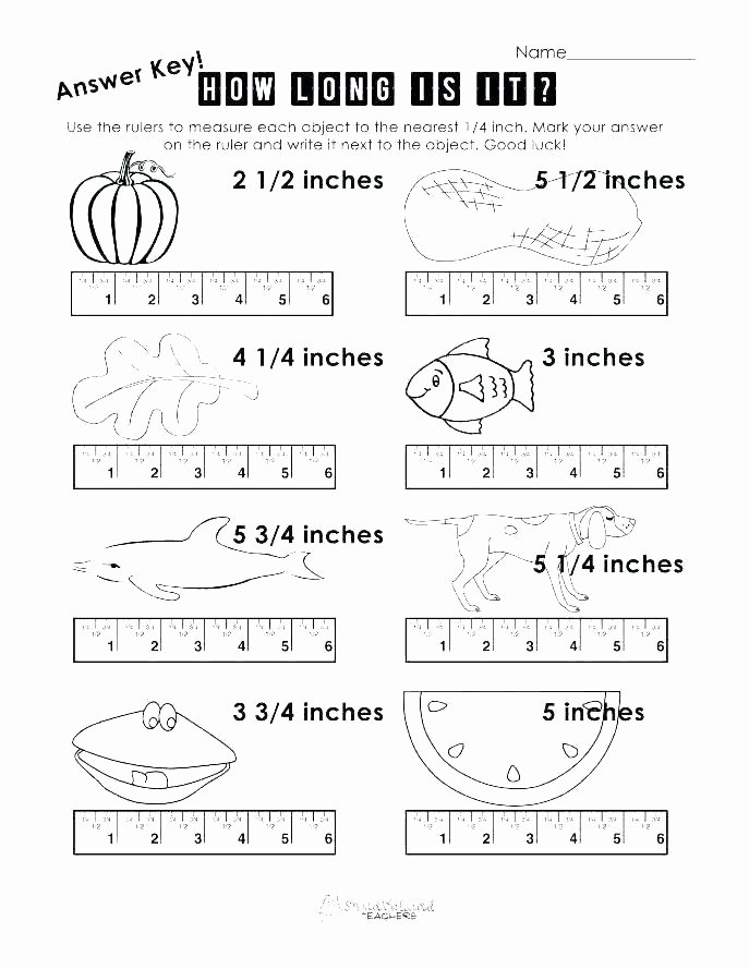 Measuring Worksheets for 2nd Grade Teaching Measurement Worksheets