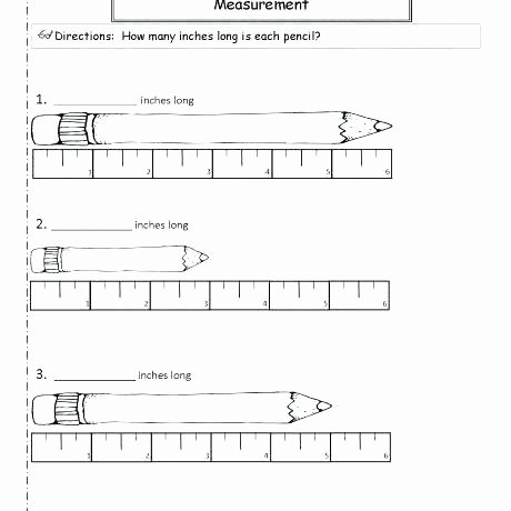 Measuring Worksheets Inches Grade Measurement Worksheets Free Inspirational Counting