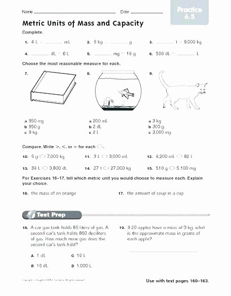Metric and Customary Conversions Worksheets Metric System Worksheets 4th Grade