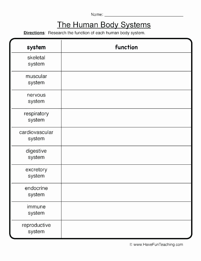 Middle School Health Worksheets Nutrition Worksheets Middle School – Openlayers