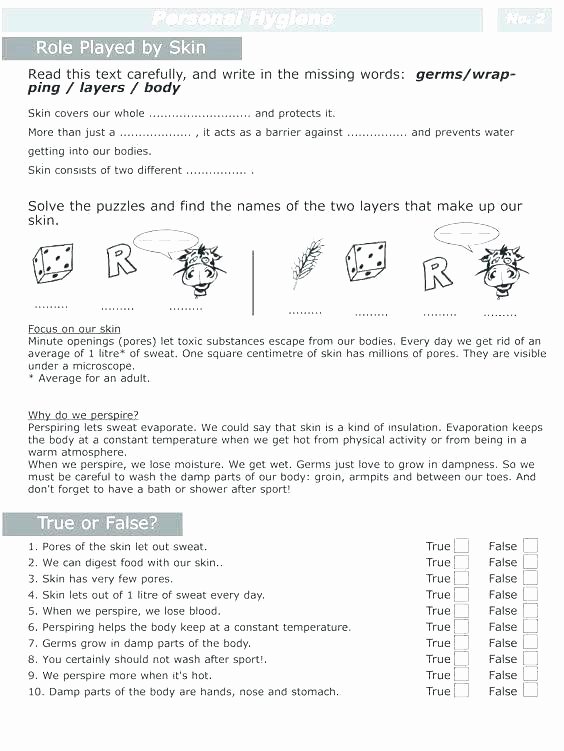 Middle School Health Worksheets Pdf Middle School Health Worksheets