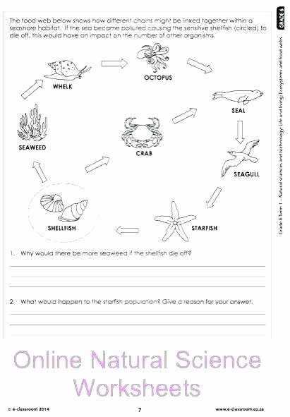 Middle School Science Worksheets Pdf Earth and Space Science Worksheets Layers the Worksheet