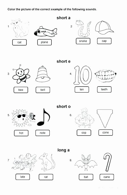 Middle sounds Worksheets for Kindergarten Color the Long O sounds Short Vowel Word Ladder Worksheets Words