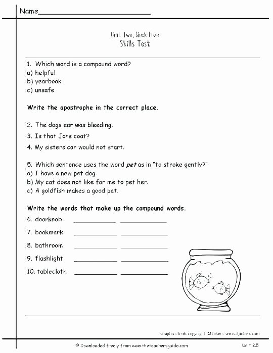 Multiple Meaning Words Worksheet High School Vocabulary Words Worksheets
