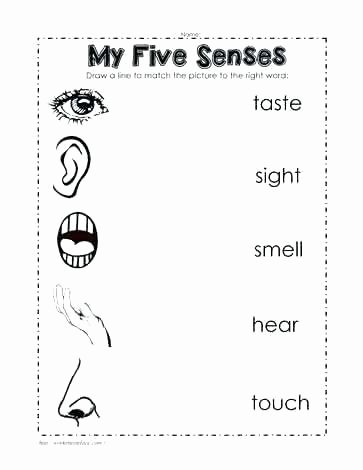 My 5 Senses Worksheets Five 9 Pencil and In Color Number Sense Worksheets for High