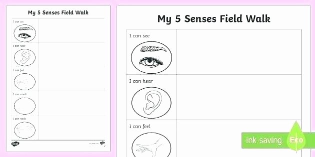 My 5 Senses Worksheets Kindergarten Science Worksheets Five Senses Kindergarten