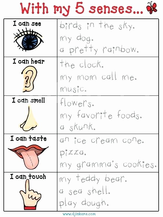 My 5 Senses Worksheets Sensory Images Worksheets
