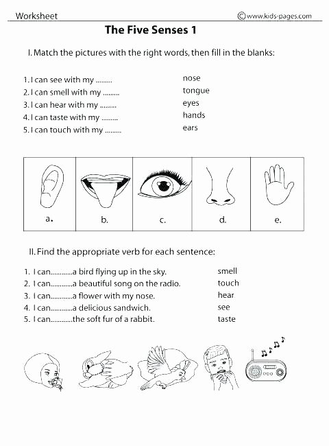 My 5 Senses Worksheets Vocabulary Fill In the Blank Worksheets