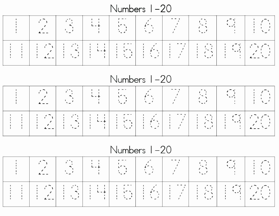 Number Tracing Worksheet 1 10 Traceable Numbers Worksheets 1 Trace the Number Tracing