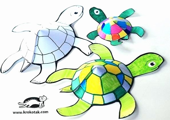 Ocean Worksheets for Preschool Sea Turtle Worksheets