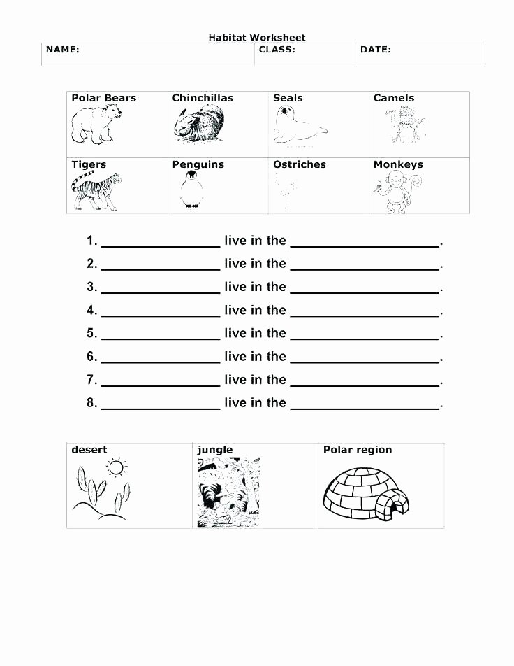 Oceans Worksheets for Kindergarten Habitat Worksheets