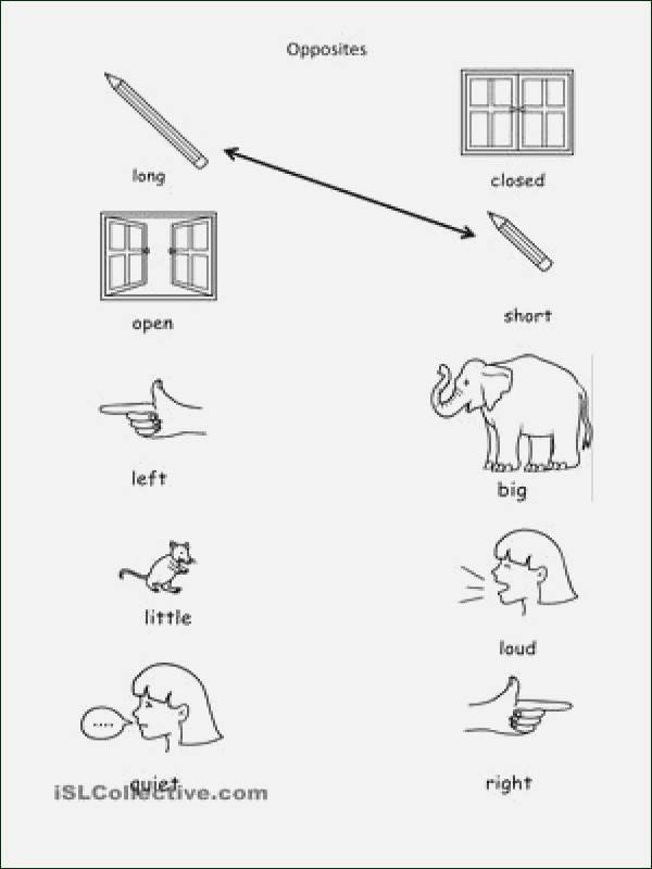Opposites Worksheet for Kindergarten Kindergarten English Worksheets
