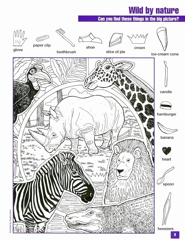 Pictogram Puzzles Printable Wild by Nature Hidden Pictures …