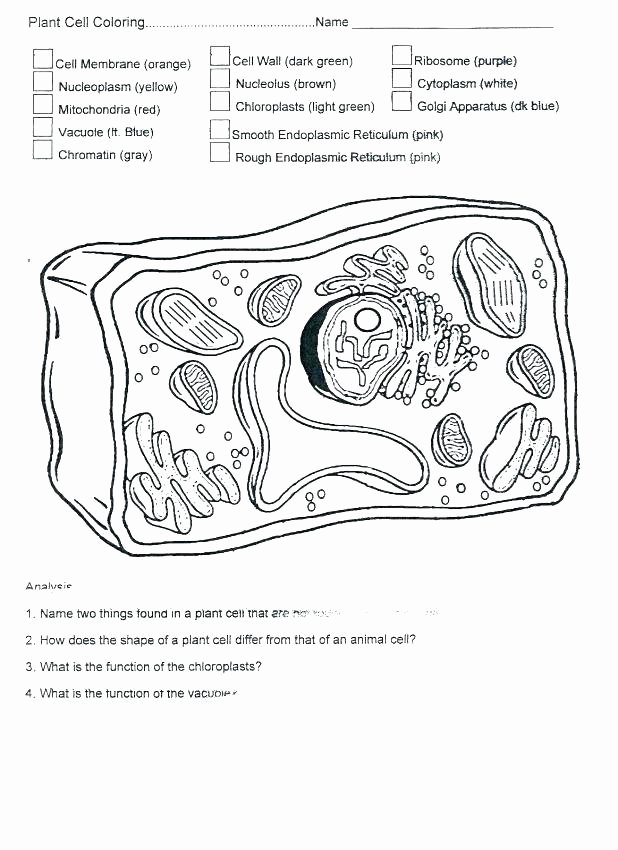 Plant Cell Worksheets to Label Free Animal Cell Coloring Worksheet – Odni