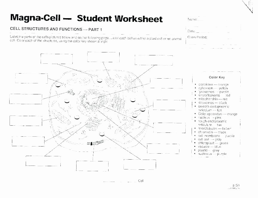 Plant Cell Worksheets to Label Plant Succulent Minimal Print 1 Plant Cell Worksheet 5th