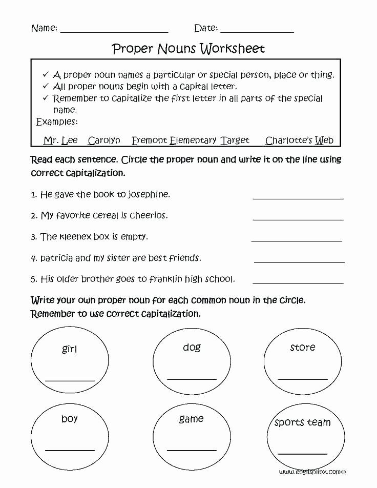 Plural Nouns Worksheet 5th Grade Possessive Nouns Worksheets 5th Grade – butterbeebetty